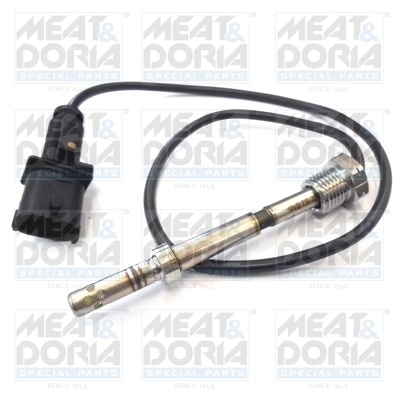 Sensor, exhaust gas temperature